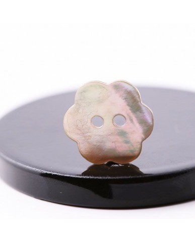 Parelmoer knoop sd00004 2 compressor 387x480